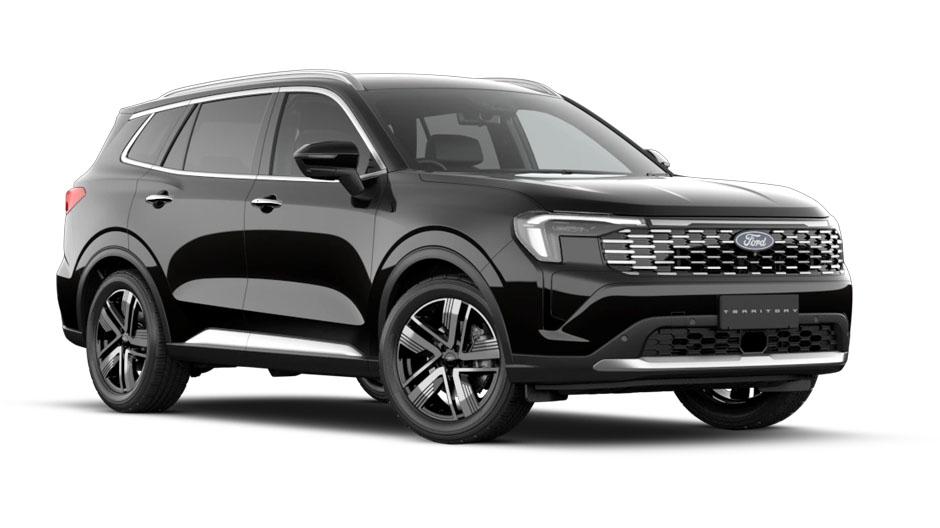 PANTHER BLACK