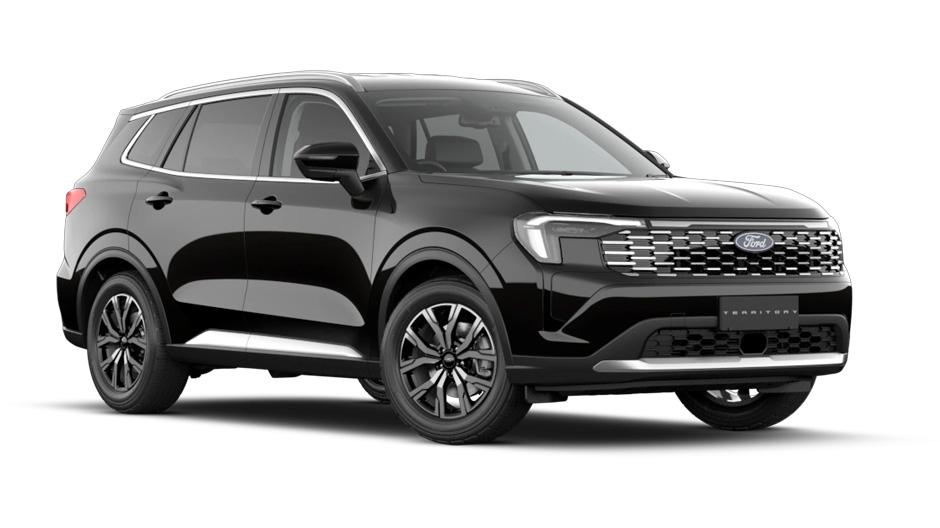 PANTHER BLACK